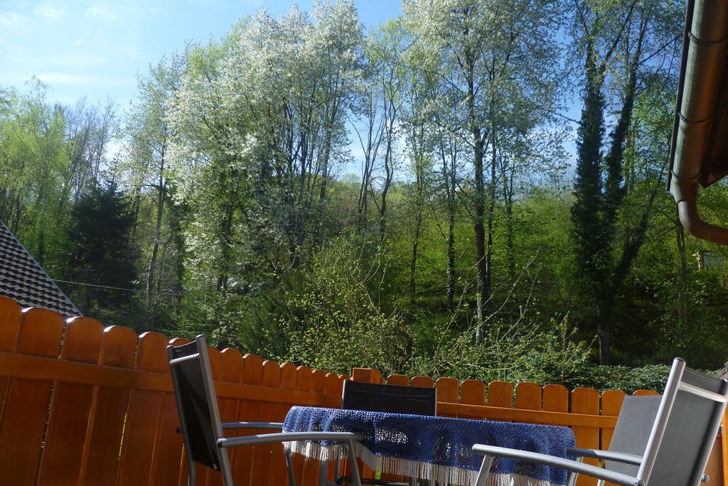 Schwarzwald Domizil Uhlsberg Lejlighed Kippenheim Eksteriør billede