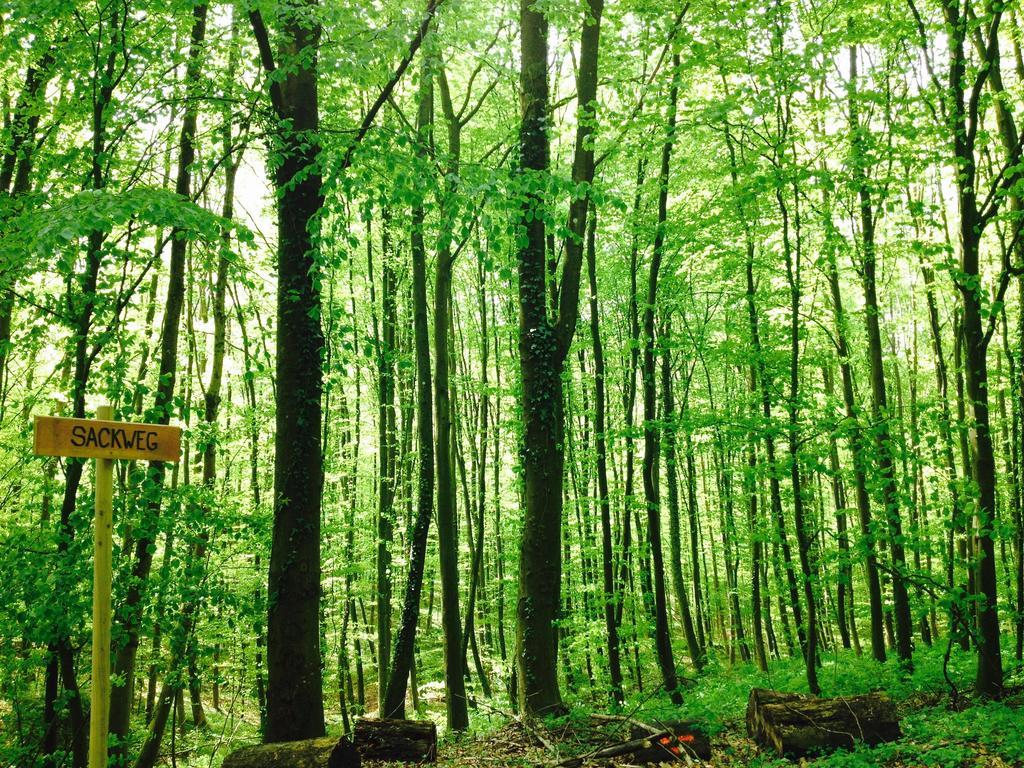 Schwarzwald Domizil Uhlsberg Lejlighed Kippenheim Eksteriør billede