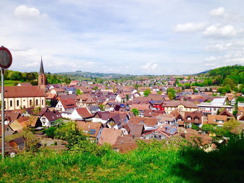 Schwarzwald Domizil Uhlsberg Lejlighed Kippenheim Eksteriør billede