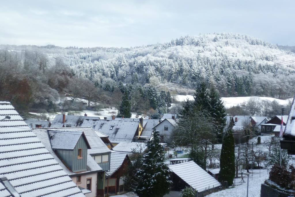 Schwarzwald Domizil Uhlsberg Lejlighed Kippenheim Værelse billede