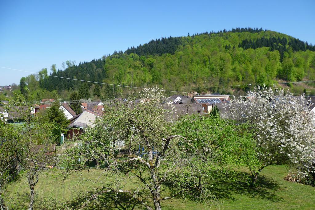 Schwarzwald Domizil Uhlsberg Lejlighed Kippenheim Værelse billede