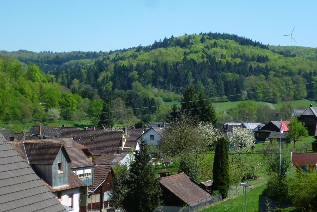 Schwarzwald Domizil Uhlsberg Lejlighed Kippenheim Værelse billede