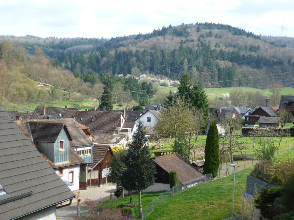Schwarzwald Domizil Uhlsberg Lejlighed Kippenheim Værelse billede