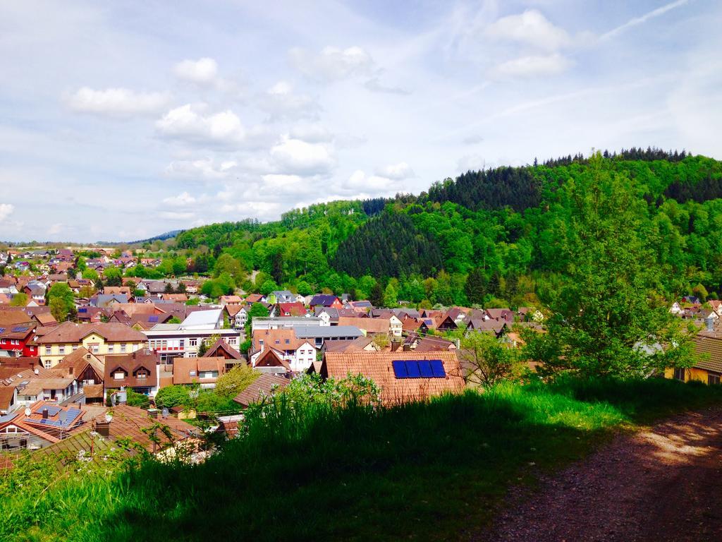 Schwarzwald Domizil Uhlsberg Lejlighed Kippenheim Eksteriør billede