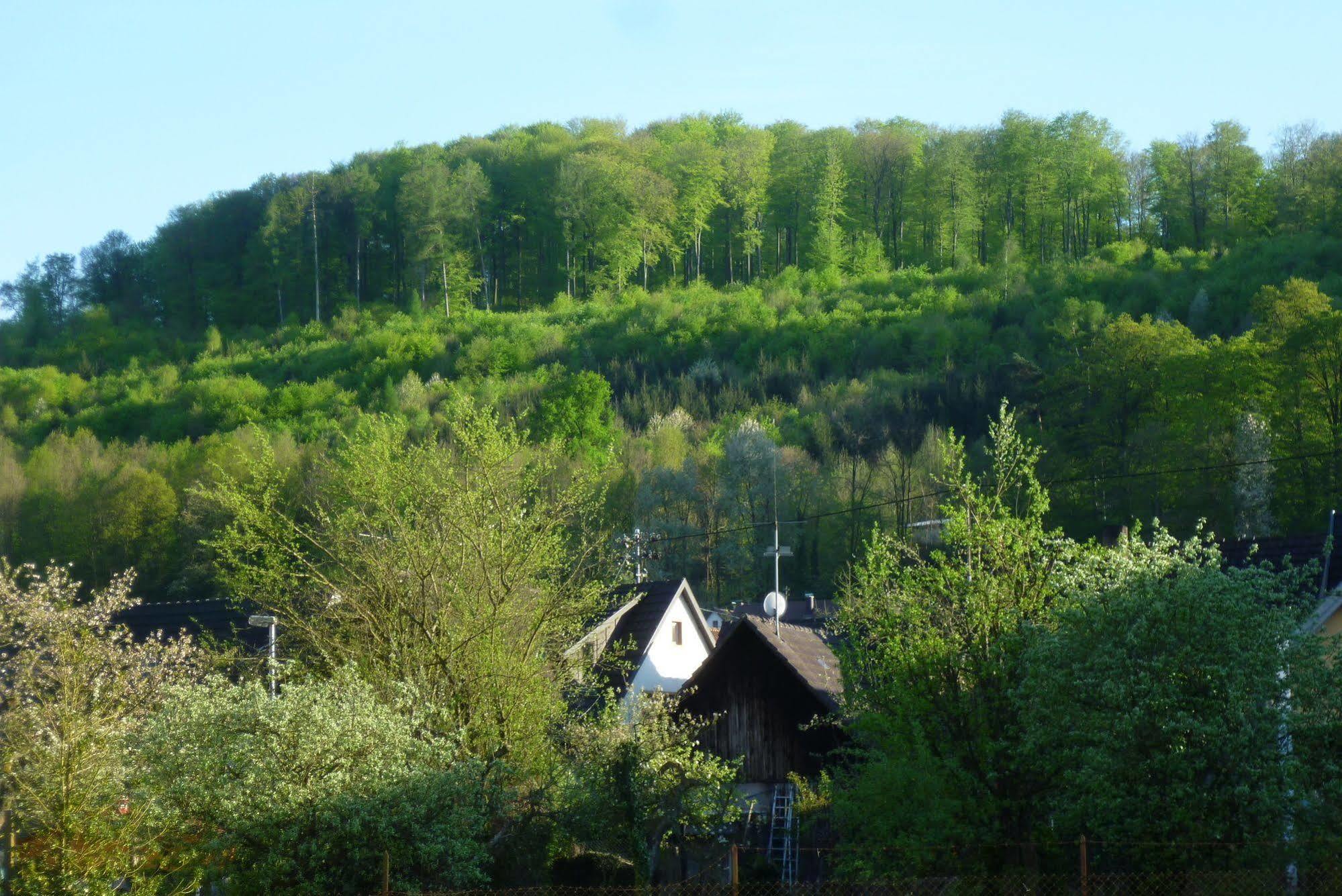 Schwarzwald Domizil Uhlsberg Lejlighed Kippenheim Eksteriør billede